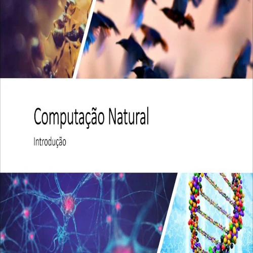 Curso de Introdução a Computação Natural