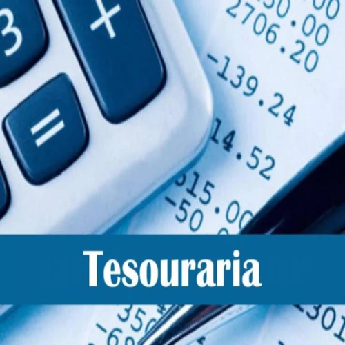 Curso Auxiliar de Tesouraria