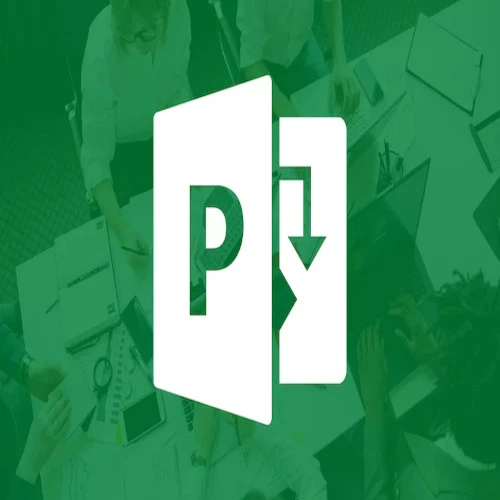 Curso MS Project Básico